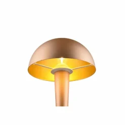 Luminaires Reality Lampe de table Reality CANARIA LED Brun, 1 lumière* Lampes À Poser