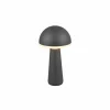 Luminaires Reality Lampe de table Reality FUNGO LED Anthracite, 1 lumière