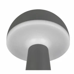 Luminaires Reality Lampe de table Reality FUNGO LED Anthracite, 1 lumière