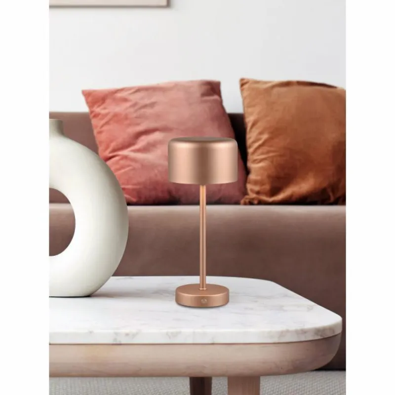 Luminaires Reality Lampe de table Reality JEFF LED Brun, 1 lumière* Éclairage Led