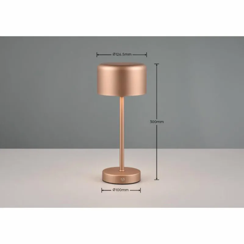 Luminaires Reality Lampe de table Reality JEFF LED Brun, 1 lumière* Éclairage Led