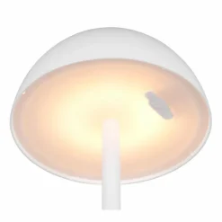 Luminaires Reality Lampe de table Reality RICARDO LED Blanc, 1 lumière