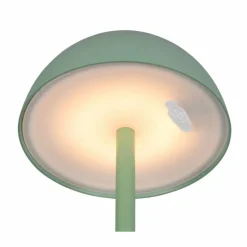 Luminaires Reality Lampe de table Reality RICARDO LED Vert, 1 lumière