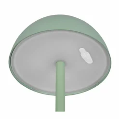 Luminaires Reality Lampe de table Reality RICARDO LED Vert, 1 lumière