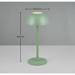 Luminaires Reality Lampe de table Reality RICARDO LED Vert, 1 lumière