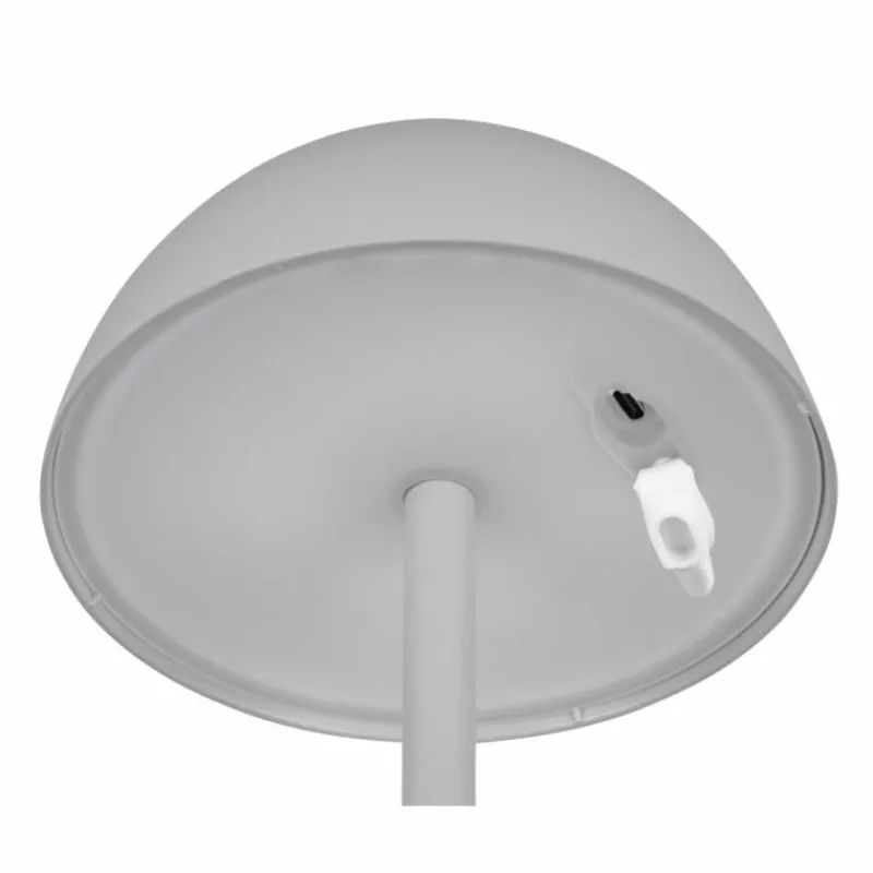 Luminaires Reality Lampe de table Reality RICARDO LED Gris, 1 lumière