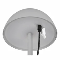 Luminaires Reality Lampe de table Reality RICARDO LED Gris, 1 lumière