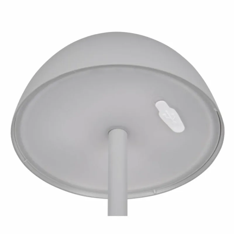 Luminaires Reality Lampe de table Reality RICARDO LED Gris, 1 lumière