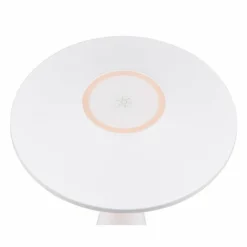 Luminaires Reality Lampe de table Reality TORREZ LED Blanc, 1 lumière