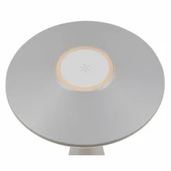 Luminaires Reality Lampe de table Reality TORREZ LED Gris, 1 lumière