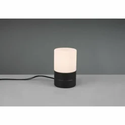 Luminaires Trio Lampe de table Trio Ary 2 Noir, 1 lumière