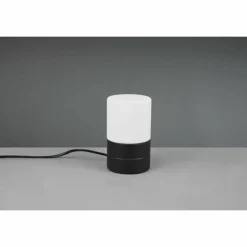 Luminaires Trio Lampe de table Trio Ary 2 Noir, 1 lumière