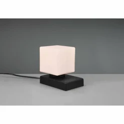 Luminaires Trio Lampe de table Trio Till 2 Noir, 1 lumière