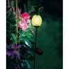 Luminaires Eglo lampe solaire Eglo ANANAS LED Noir, 1 lumière