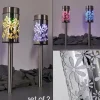 hofstein lampe solaire Gorizia LED Acier inoxydable, 2 lumières, Changeur de couleurs