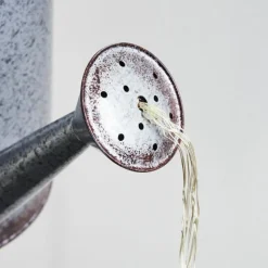 hofstein lampe solaire Isernia LED Rouille, Argenté, 80 lumières