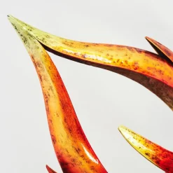 hofstein lampe solaire Rovinj LED Jaune, Rouge, Noir, 10 lumières