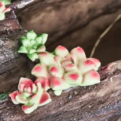 Luminaires Rustiques-hofstein lampe solaire Samana LED Brun, Jaune, Vert, Rose, 20 lumières