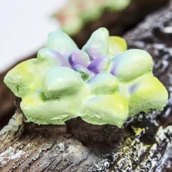 Luminaires Rustiques-hofstein lampe solaire Samana LED Brun, Jaune, Vert, Rose, 20 lumières