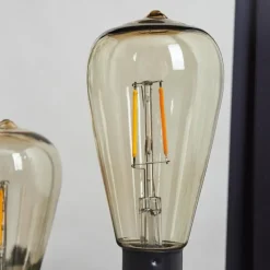 hofstein lampe solaire Sciolze LED Noir, Transparent, 2 lumières