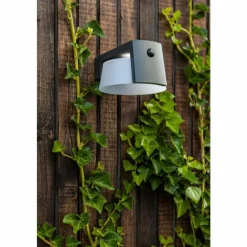 Luminaires Lutec Lampe solaires Lutec Moon LED Anthracite, 1 lumière, Détecteur de mouvement