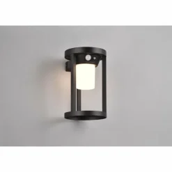 Luminaires Trio Lampe solaires Trio Carmo LED Noir, 1 lumière, Détecteur de mouvement