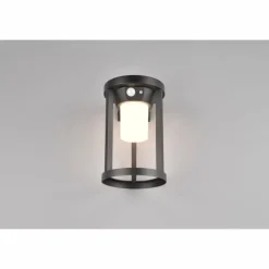Luminaires Trio Lampe solaires Trio Carmo LED Noir, 1 lumière, Détecteur de mouvement