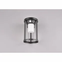 Luminaires Trio Lampe solaires Trio Carmo LED Noir, 1 lumière, Détecteur de mouvement