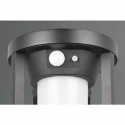 Luminaires Trio Lampe solaires Trio Carmo LED Noir, 1 lumière, Détecteur de mouvement