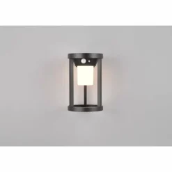 Luminaires Trio Lampe solaires Trio Carmo LED Noir, 1 lumière, Détecteur de mouvement