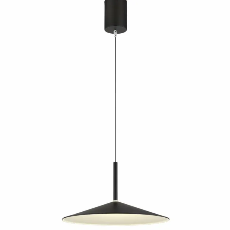 Luminaires Globo Lighting Lampone Suspension LED Noir, 1 lumière* Suspensions