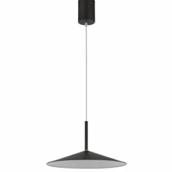 Luminaires Globo Lighting Lampone Suspension LED Noir, 1 lumière* Suspensions