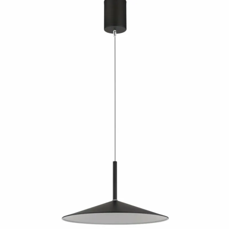 Luminaires Globo Lighting Lampone Suspension LED Noir, 1 lumière* Suspensions