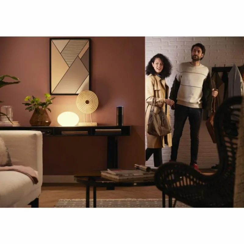 Luminaires Philips LED Ambiance White & Color E27 Starter-Set de 2 Philips Hue