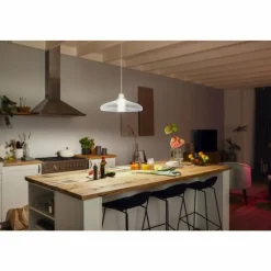 Luminaires Philips LED E27 15,5 Watt 2200 - 6500 Kelvin 1100 Lumen Philips Hue White