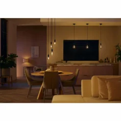 Luminaires Philips LED E27 7 Watt 2200 - 4500 Kelvin 550 Lumen Philips Hue White Ambiance