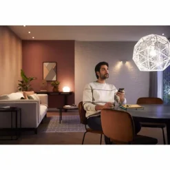 Luminaires Philips LED E27 8 Watt 2200 - 6500 Kelvin 806 Lumen Philips Hue White Ambiance