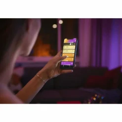 Luminaires Philips LED E27 6,5 Watt 2000 - 6500 Kelvin 570 Lumen Philips Hue White & Color Ambiance