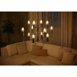 Luminaires Philips LED E14 4,5 Watt 2100 Kelvin 300 Lumen Philips Hue White