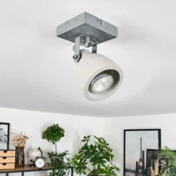 Lampes Industrielles-hofstein Lomma Plafonnier, Spot de plafond Acier brossé, 1 lumière