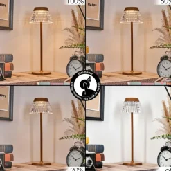 hofstein Macos Lampe de bureau, Lampe à poser, Liseuse LED Rouille, 1 lumière* Éclairage Led