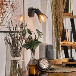 hofstein Medelim Applique murale, Spot mural Clair, Fumé, 1 lumière