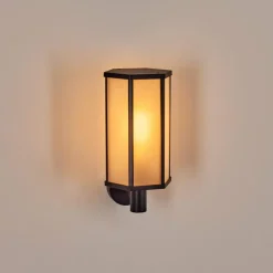 hofstein Monfanim Lampe murale d´extérieur Noir, 1 lumière