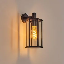 hofstein Monfanim Lampe murale d´extérieur Noir, 1 lumière