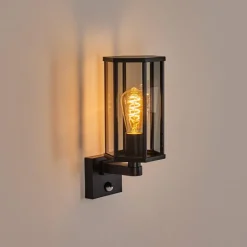 hofstein Monfanim Lampe murale d´extérieur Noir, 1 lumière
