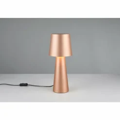 Luminaires Trio Nubian Lampe à poser Brun, 1 lumière* Lampes À Poser