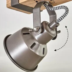 Lampes Industrielles-hofstein Pehefito Plafonnier, Spot de plafond Brun, Gris, 6 lumières