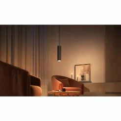 Luminaires Philips Pendule Philips Hue Perifo LED Noir, 1 lumière, Changeur de couleurs