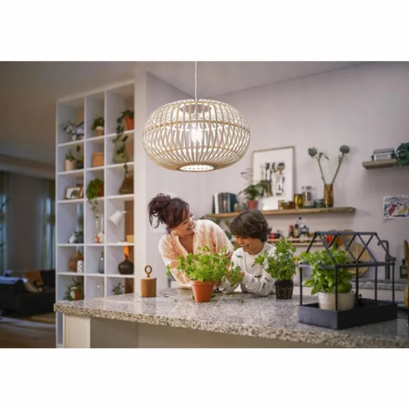 Luminaires Philips Philips Classic LED E27 7,3 watt 3000 Kelvin 1535 lumen