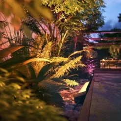 Luminaires Philips Philips Hue White and Color Ambiance Amarant LED Noir, 1 lumière, Changeur de couleurs